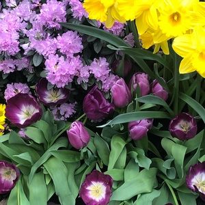 Meet your Posher, Madeline